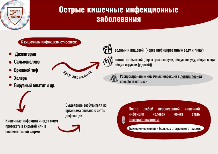 "Как обезопасить себя от заражения рото-, норовирусной инфекцией".